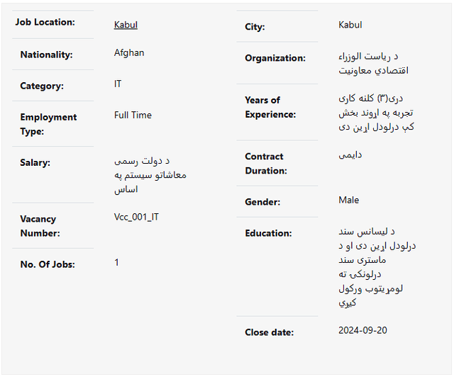  د معلوماتي ټکنالوژۍ کارمند
